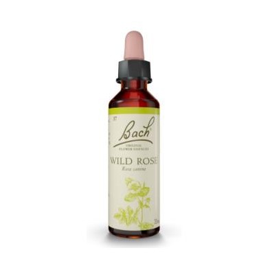 Wild Rose Flores de Bach Original