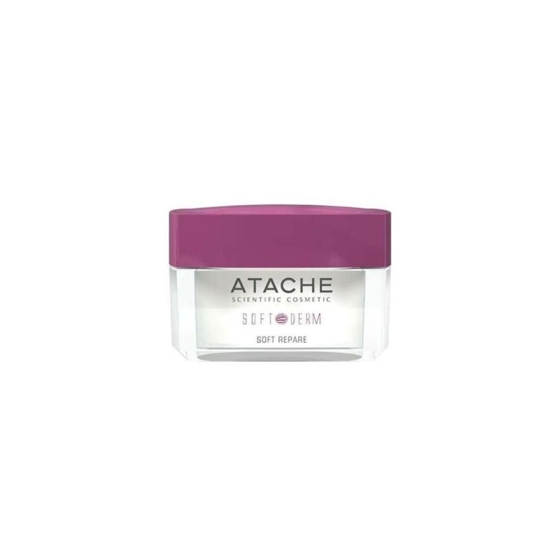 Soft Derm Repare Atache