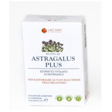Astragalus Plus - Huang Qi Lao Dan