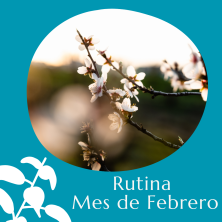 Rutina de Febrero + Avena
