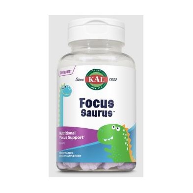 Focus Saurus Kal