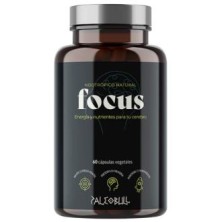 Focus Paleobull