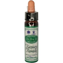 Bach Recovery Remedy Santiveri