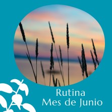 Rutina Mes de Junio + Schussler