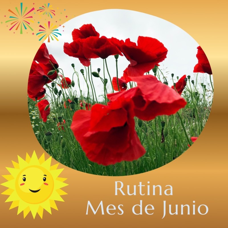 Rutina Mes de Junio + Plantas Medicinales