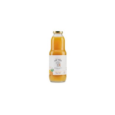Zumo de Piña Ecológico Cal Valls