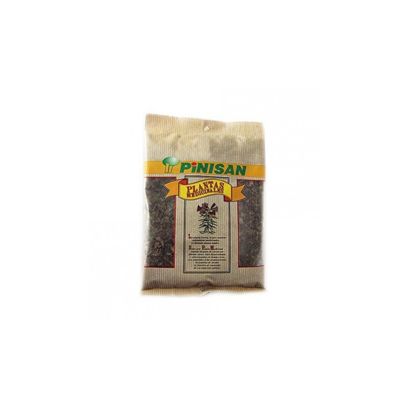 Copalchi de Pinisan
