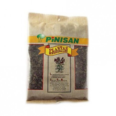 Copalchi de Pinisan