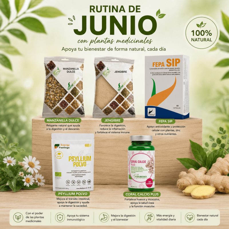 Rutina Mes de Junio + Plantas Medicinales