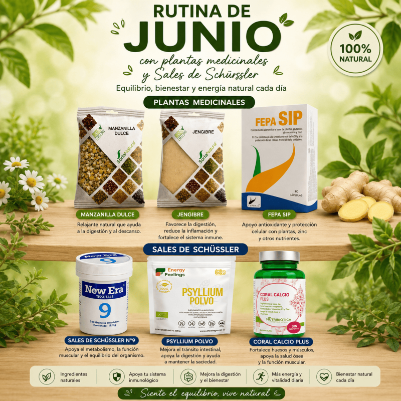 Rutina Mes de Junio + Plantas Medicinales + Schussler