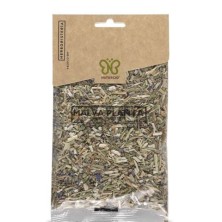 Malva Planta Naturcid