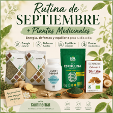 Rutina de Septiembre + Plantas Medicinales