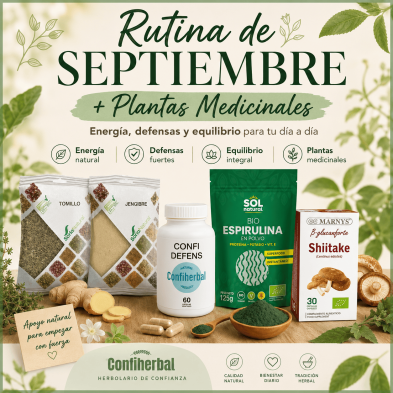 Rutina de Septiembre + Plantas Medicinales