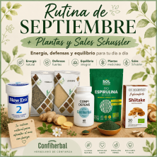Rutina de Septiembre + Plantas y Sales Schussler