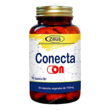 Conecta On de Zeus