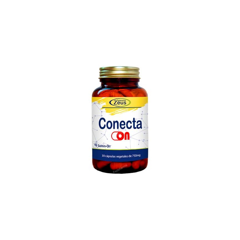 Conecta On de Zeus
