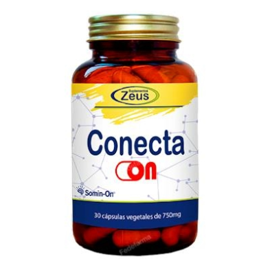 Conecta On de Zeus