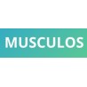 Suplementos para los Musculos