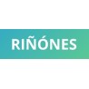 Riñones