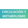 Plantas medicinales para la circulación y el metabolismo