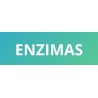 Enzimas Digestivas