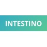 Suplementos para el intestino