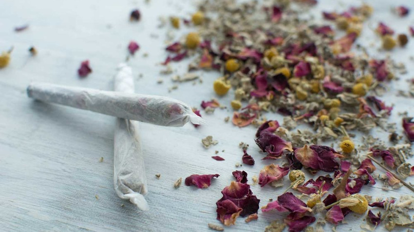Plantas Medicinales para Fumar – Haz tus propios cigarros