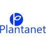 Plantanet