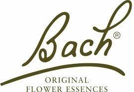 Compra Flor de Bach Hornbeam - Hojarazo 20 ml al mejor precio en Herbolario  de Confianza