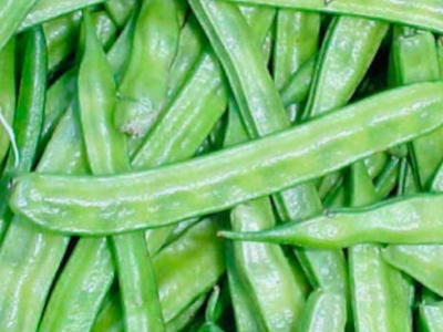 Goma Guar: fibra soluble para la saciedad y la regulación digestiva
