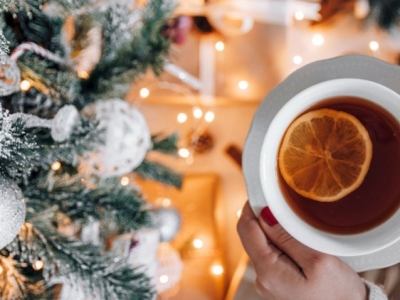 Las mejores plantas medicinales para tomar en Navidad