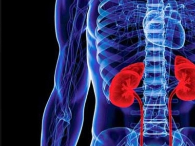 Enfermedad renal crónica: alimentación y remedios naturales de apoyo