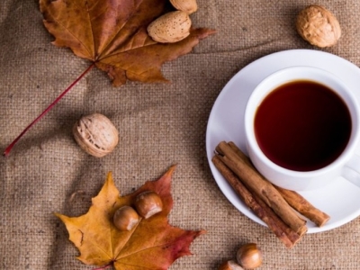 Las mejores plantas medicinales para el otoño
