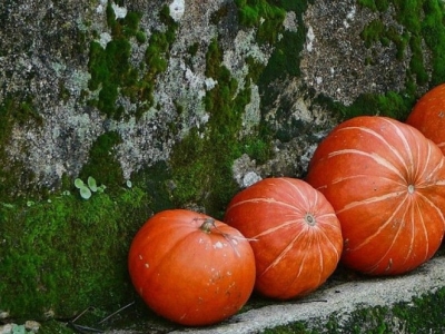 Calabaza para cuidar el colesterol, la glucosa y los triglicéridos