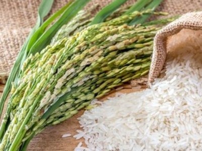 Exceso de arsénico en la comida: ¿la culpa es del arroz?