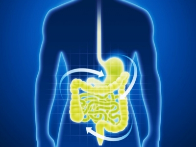 Probióticos para la flora intestinal