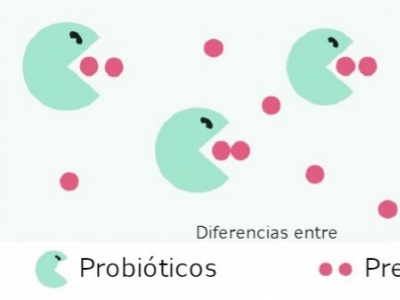 Diferencias entre prebióticos y probióticos