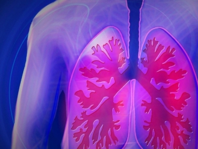 8 Alimentos que despejan los pulmones y la nariz