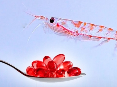 Propiedades del Aceite de Krill