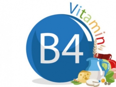 Vitamina B4 o Adenina: Usos, beneficios y Contraindicaciones 