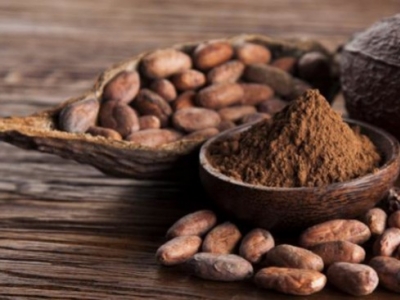 Los Beneficios del Cacao