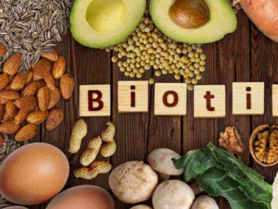 Beneficios y Contraindicaciones de la Vitamina B8 