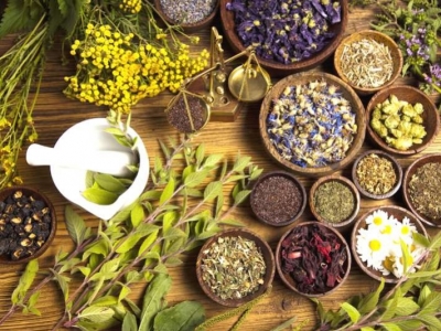 Herbolario y salud natural
