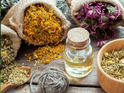 Herbolario: Descubre los Beneficios de los Productos Naturales y Medicinales