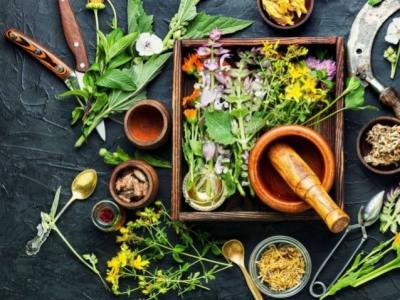 Descubre los beneficios de la salud natural en nuestro herbolario de confianza. 
