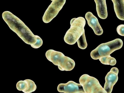 Para que sirve el Clostridium butyricum